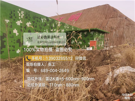 张家界星空迷彩墙施工队