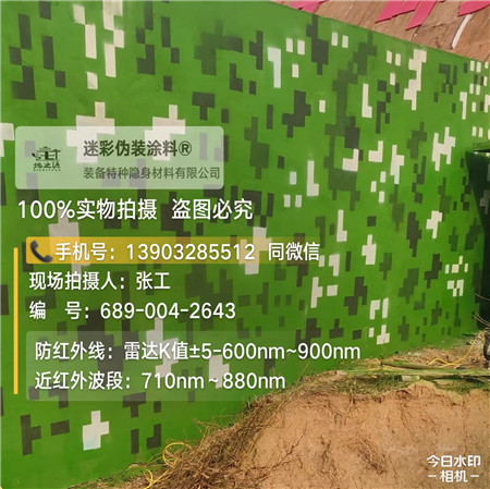 张家界星空迷彩漆，夏令营训练,数码迷彩作训墙,围墙